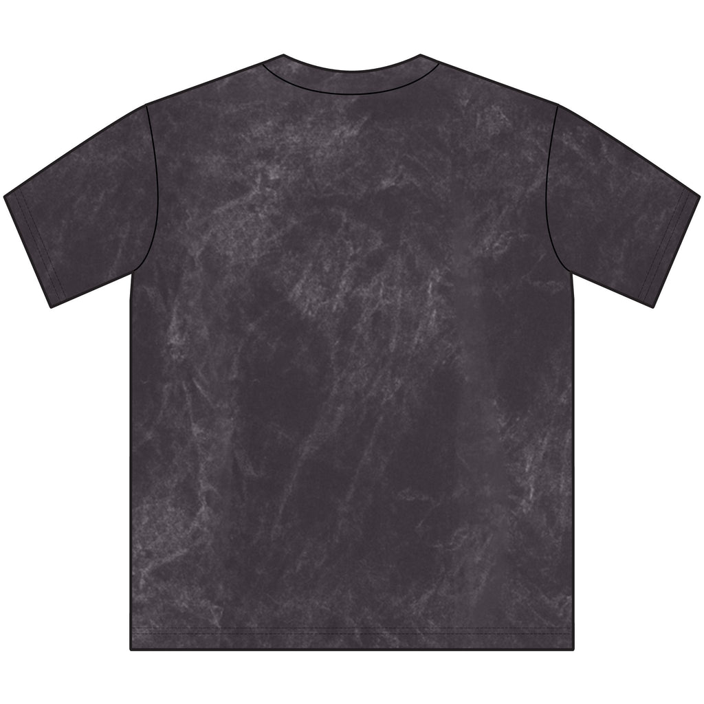 Mineral Washed Crest Tee